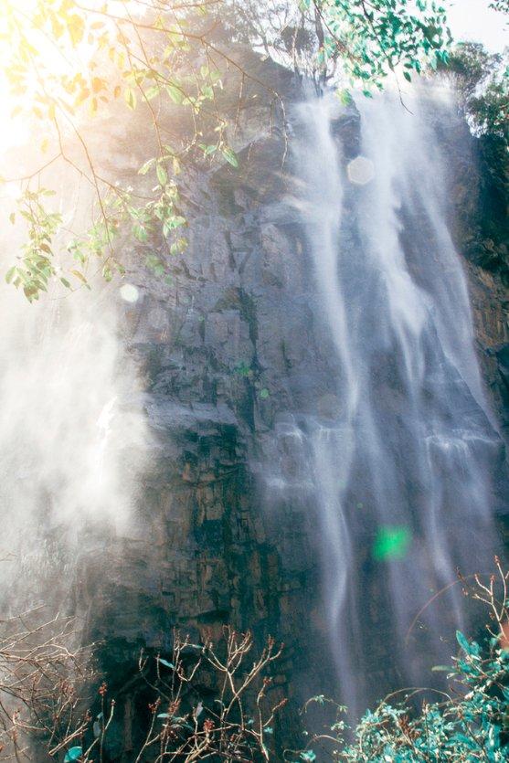 缤纷水果茶无敌版